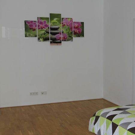 Apartment Fonhauser 阿姆施泰滕 外观 照片